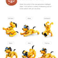 JJR19 robot hund