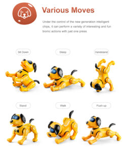 JJR19 robot hund
