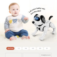 JJR19 robot hund