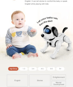 JJR19 robot hund