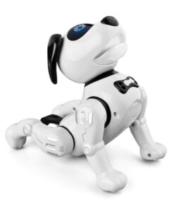 JJR19 robot hund
