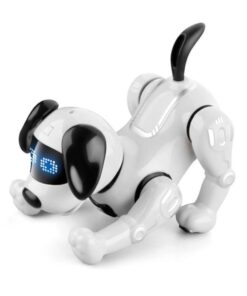 JJR19 robot hund