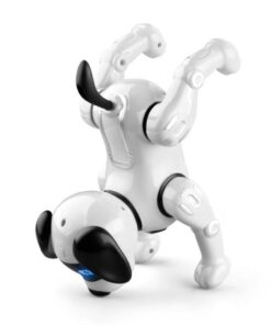 JJR19 robot hund