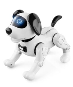 JJR19 robot hund