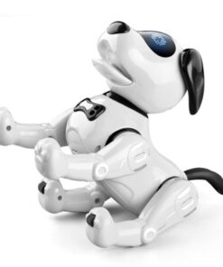 JJR19 robot hund